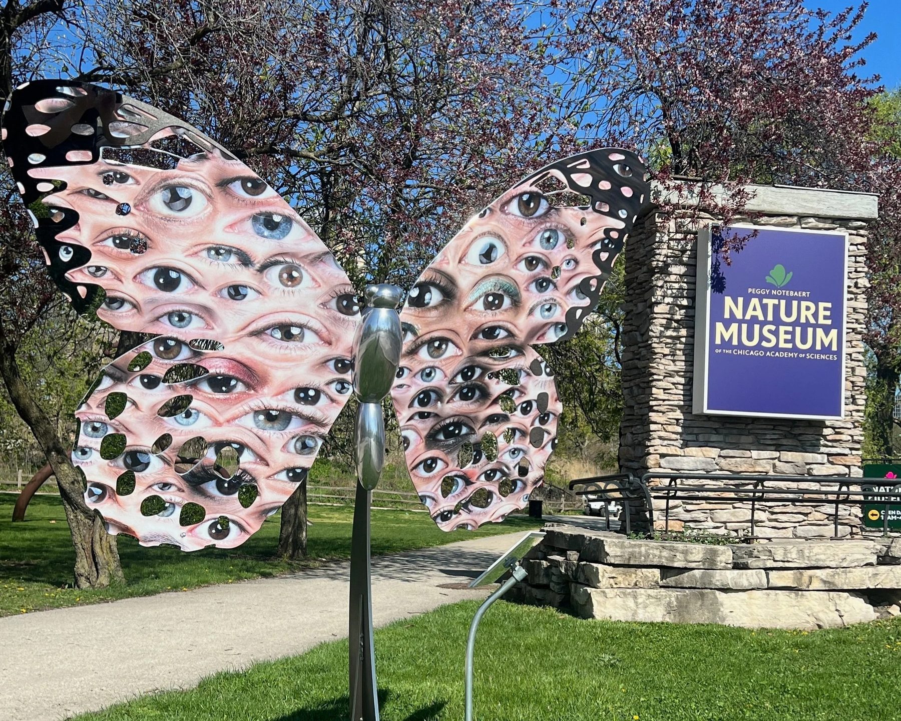 Flight of Butterflies
